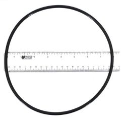 SEAL PLATE O-RING - 355619