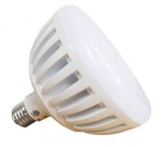 WHITE LED POOL LIGHT BULB 12 V - LPL-PR-WHT-12